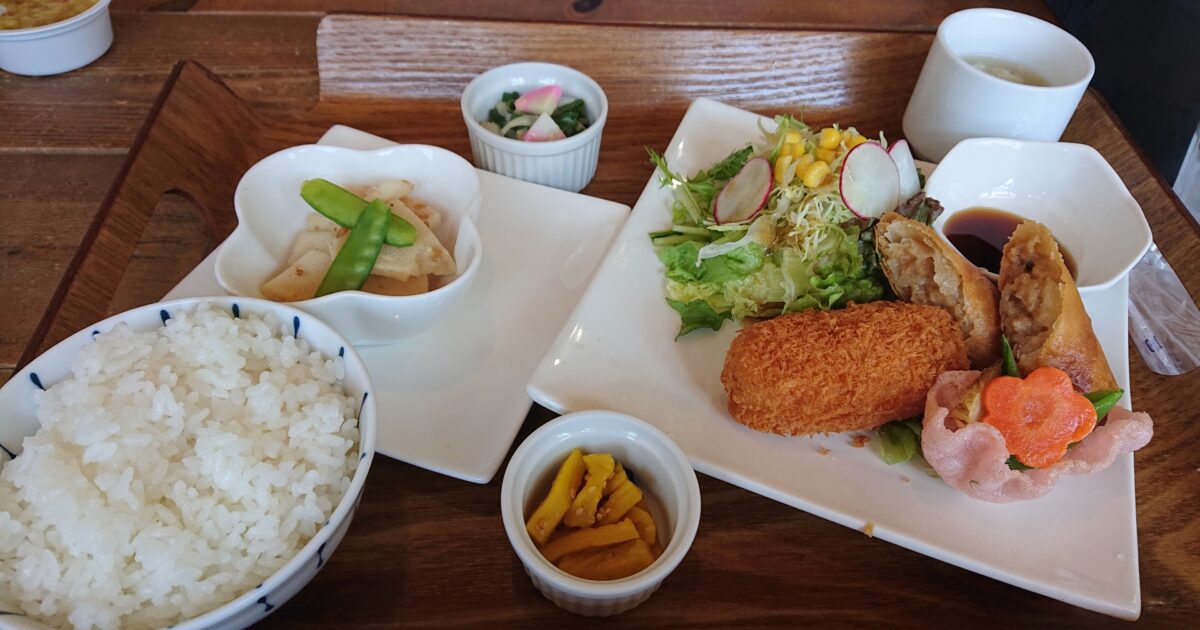 揚げ物と春巻きとサラダのランチプレート